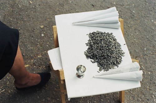 Tournesol - Roussé, 2000. 