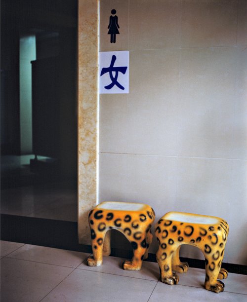 Zoo WC - Beijing, 2011.