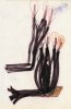 Sans titre, 1997.