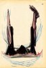 Sans titre, 1999.